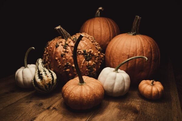 bible verses about harvest thanksgiving