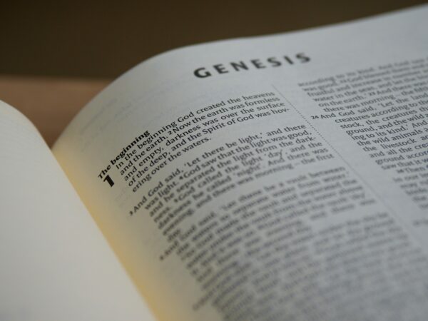 bible verses about herbs