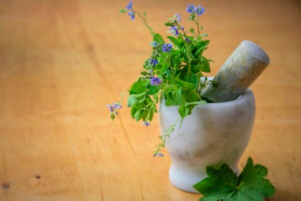 bible verses about herbs for healing