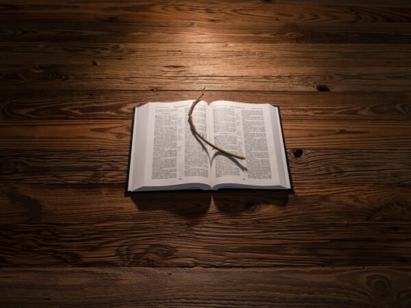 bible verses about god’s love never failing