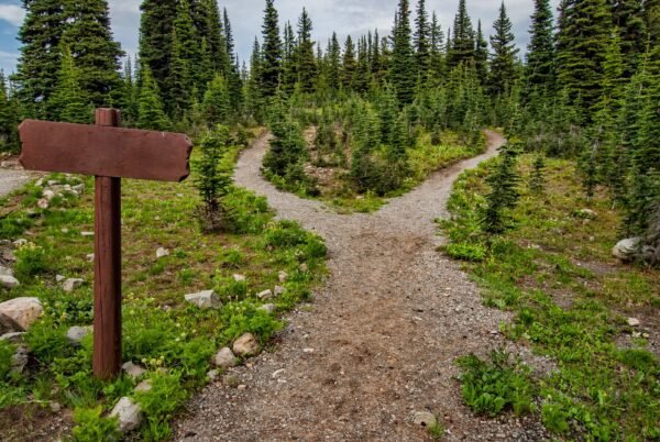 bible verses about guidance and direction