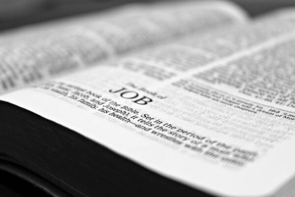 bible verses about bible study groups