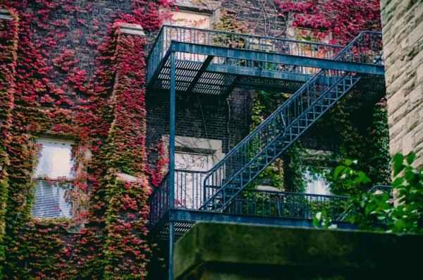 bible verses about family falling apart